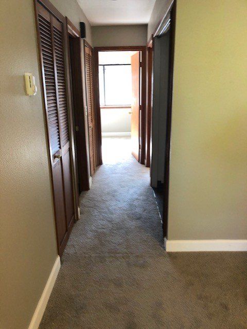 A hallway with a gray carpet and brown doors