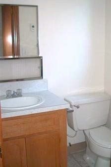 A bathroom with a sink , toilet and mirror.