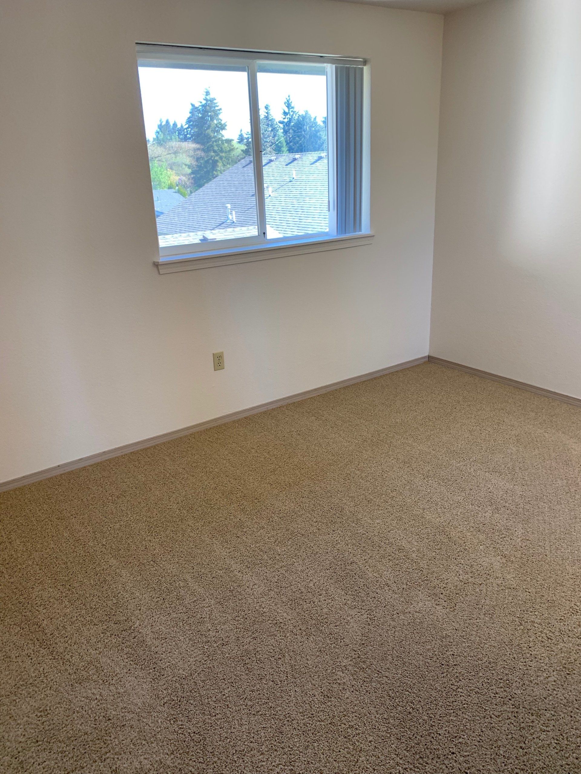 An empty bedroom with a window and a carpeted floor.