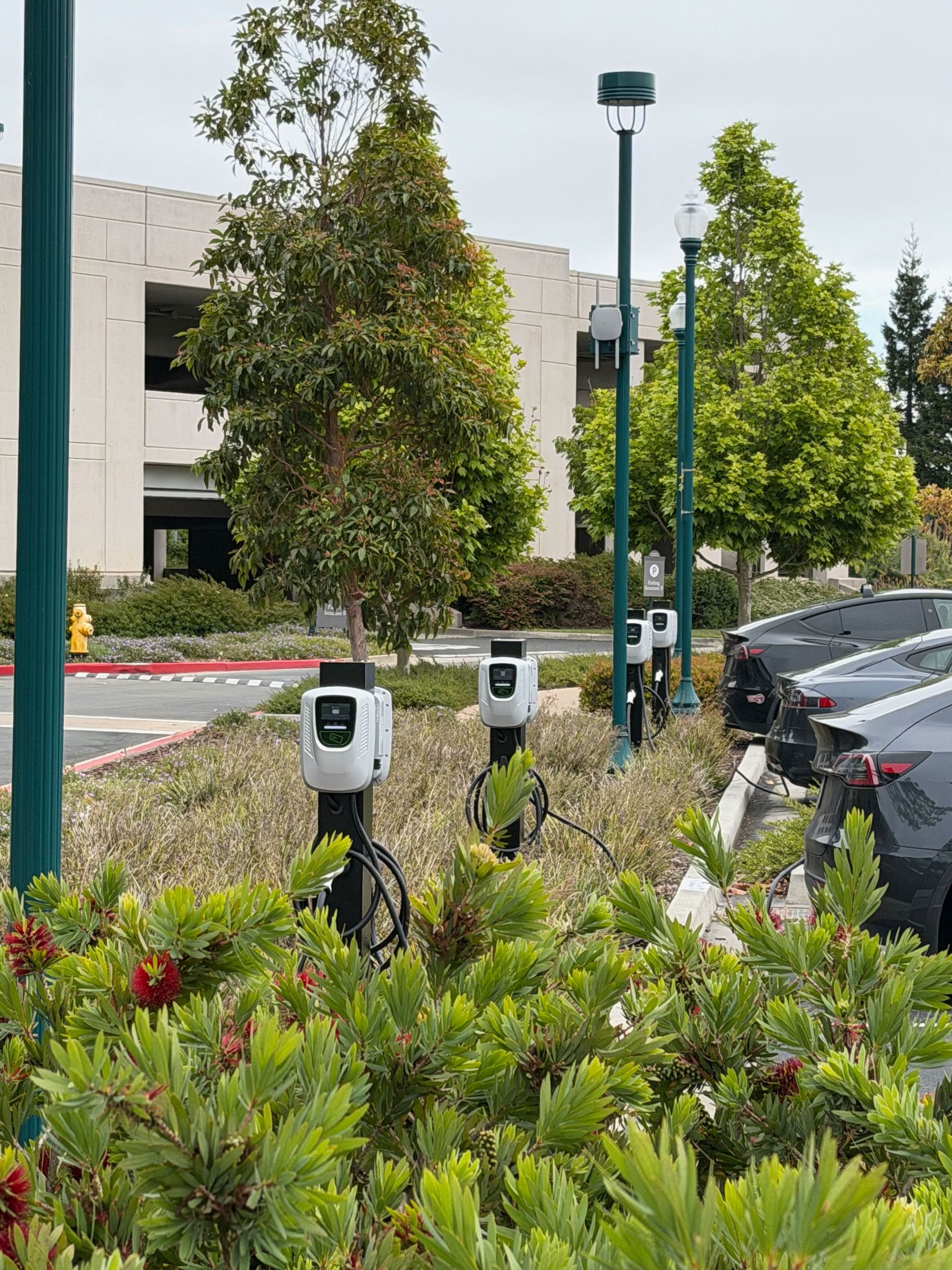 Electric car charging stations in a landscaped parking lot beside an office building.