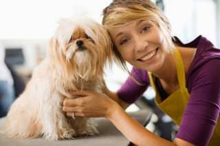 Groomer with a Dog — Pet Grooming service in Norfolk, VA