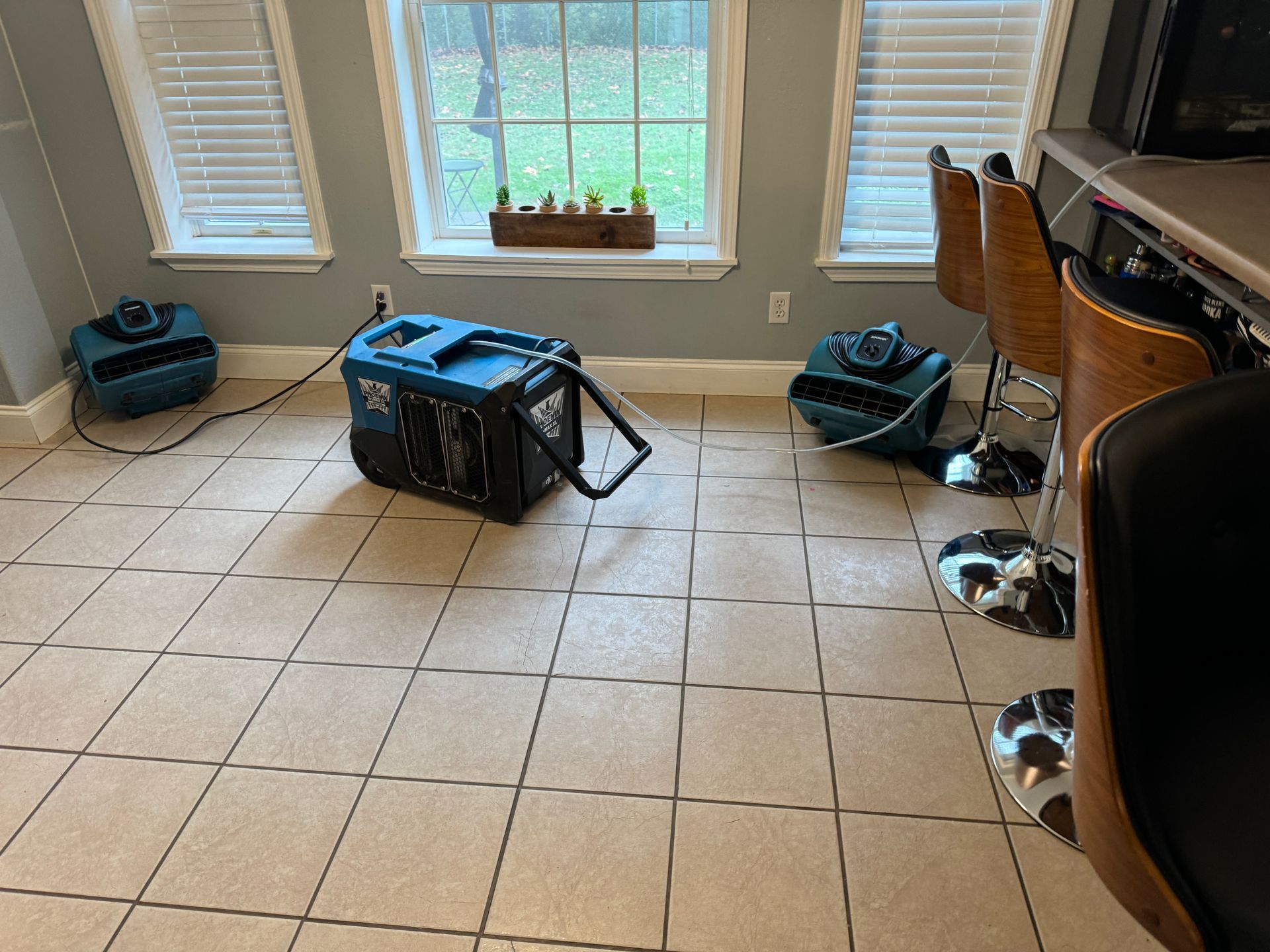 A bathroom with two toilets , a bidet and a sink.