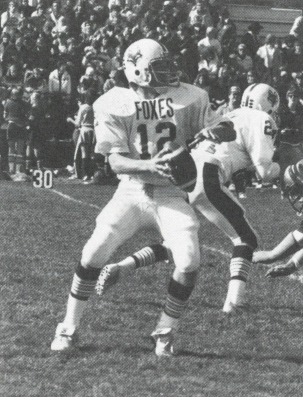 Player on the field looking to throw the ball
