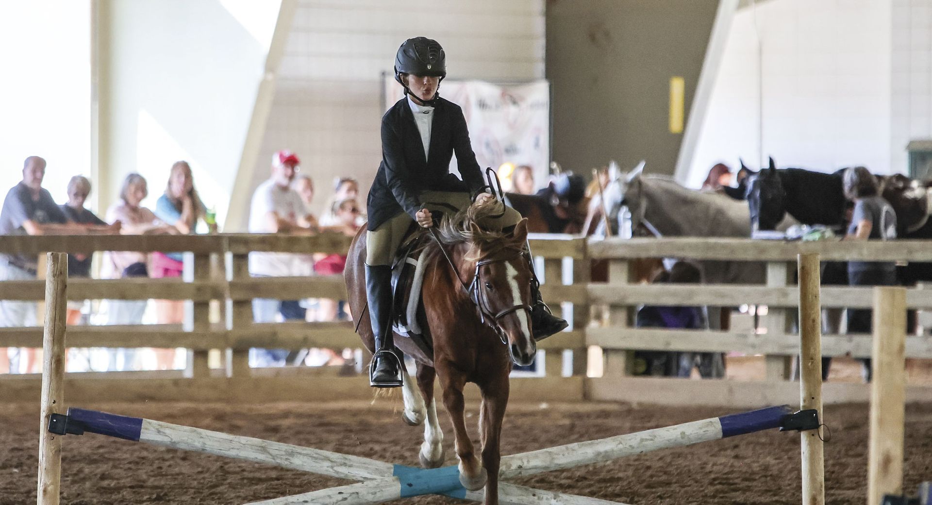 Female on horseback, making a jump during competition.