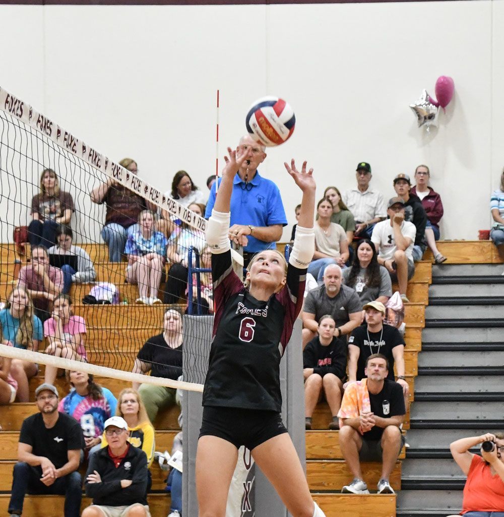 Volleyball player during a game