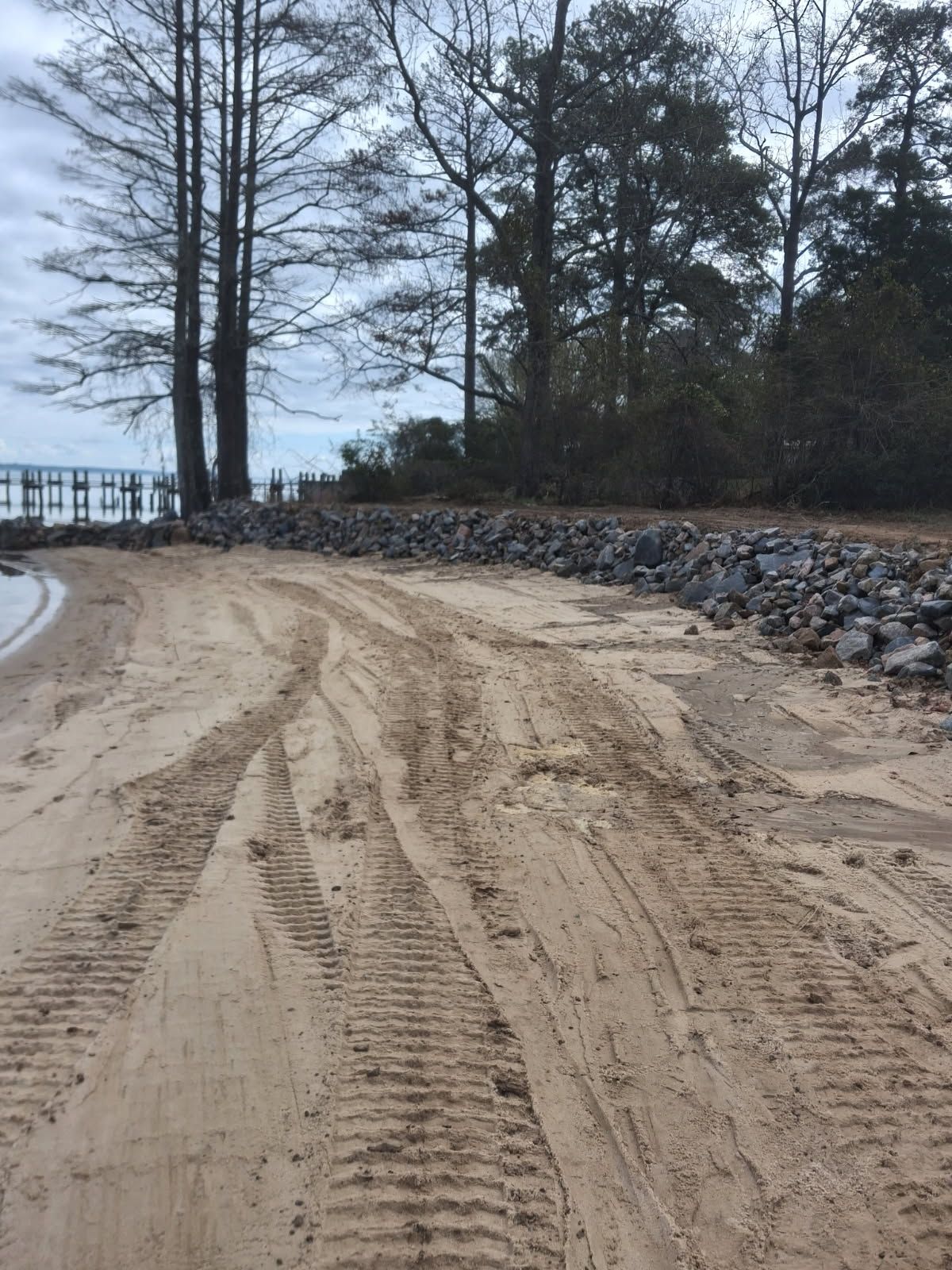 Sandy beach path curving by a stone seawall and bare trees under an overcast sky