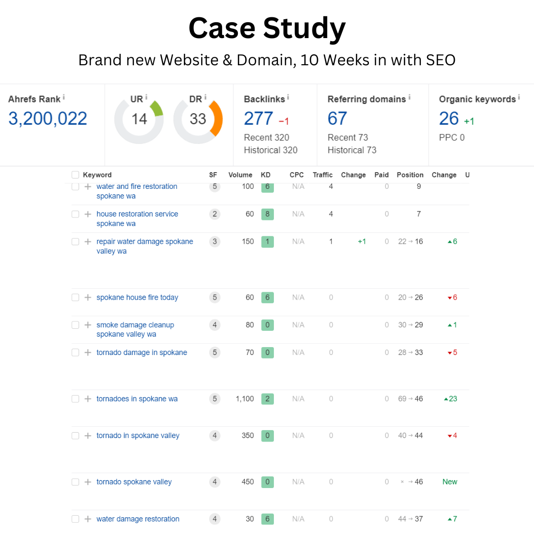 Peterson SEO Case Study 1