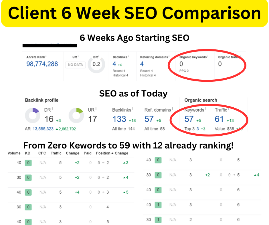 Peterson SEO Case Study 2