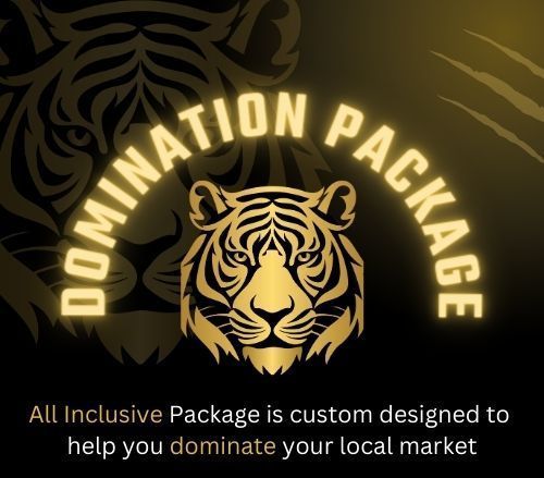 Peterson SEO's New Domination Package