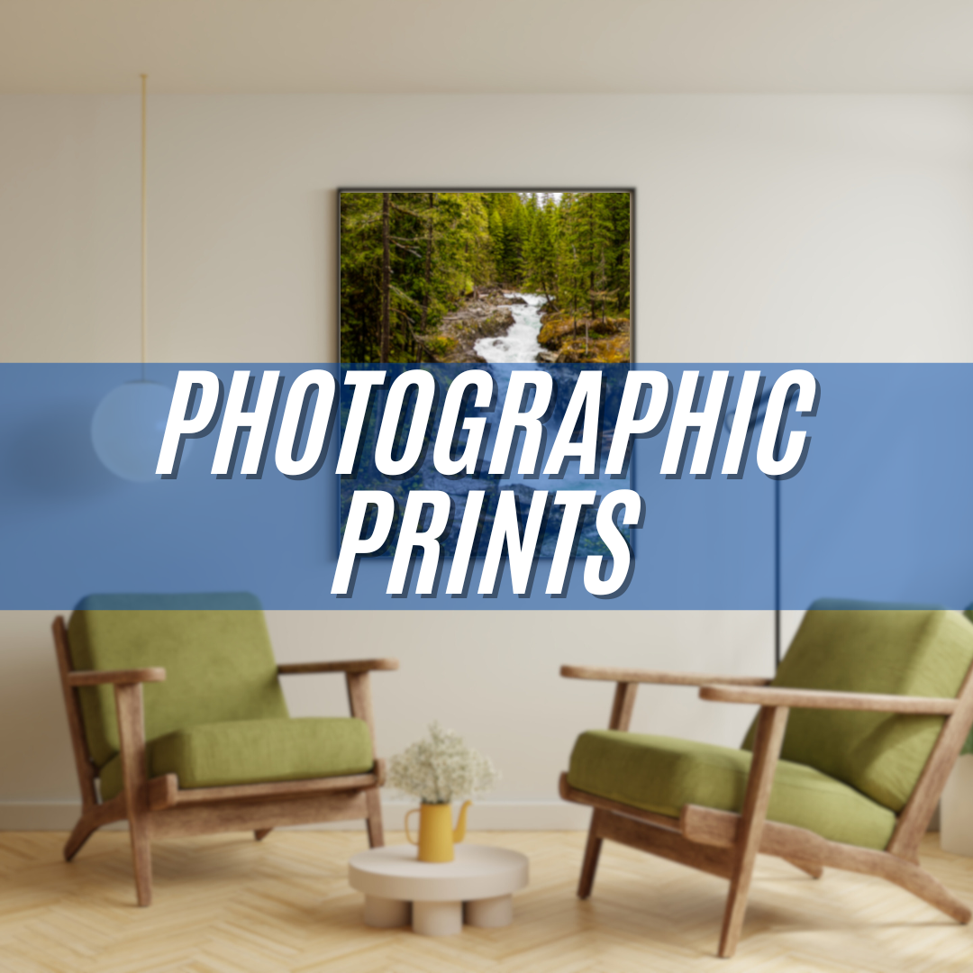 Preserve memories with professional photo printing. Rich colors and sharp details.