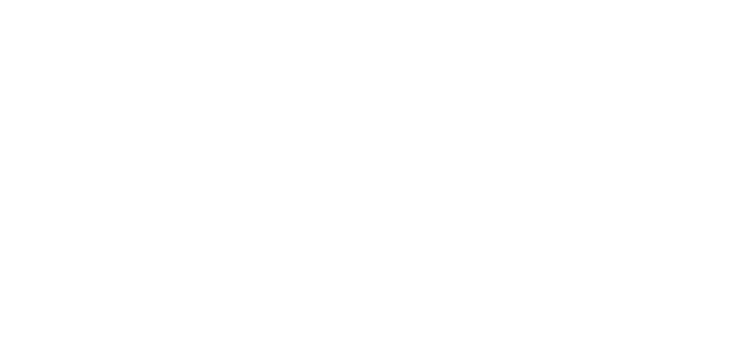 REPLI Logo