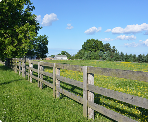 a wooden fence surrounds a grassy field with trees in the background .