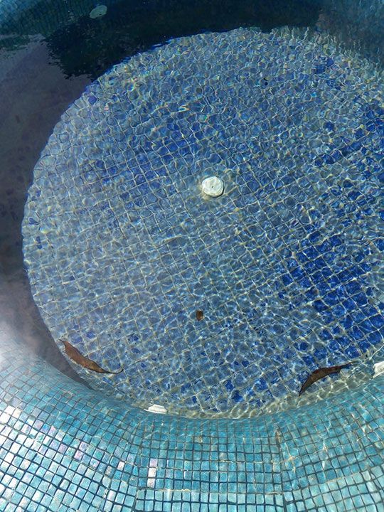 SERVICIOS MÚLTIPLES CELAYA