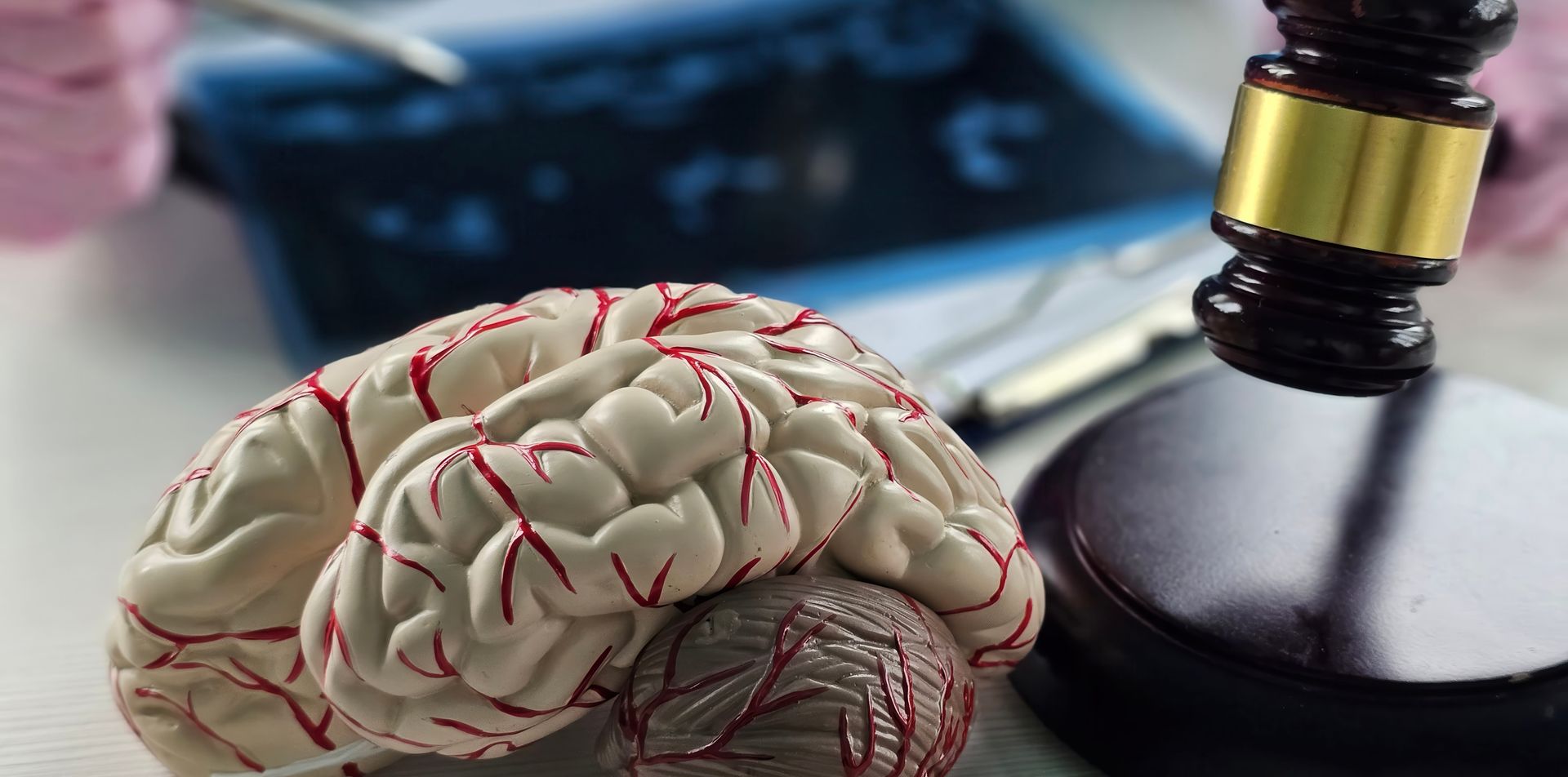 Human brain model beside a gavel, suggesting legal or ethical issues in neuroscience