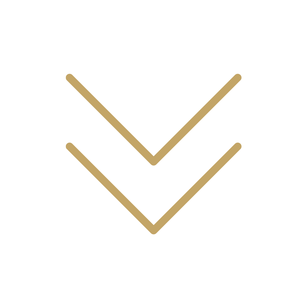 Icône de double flèche vers le bas