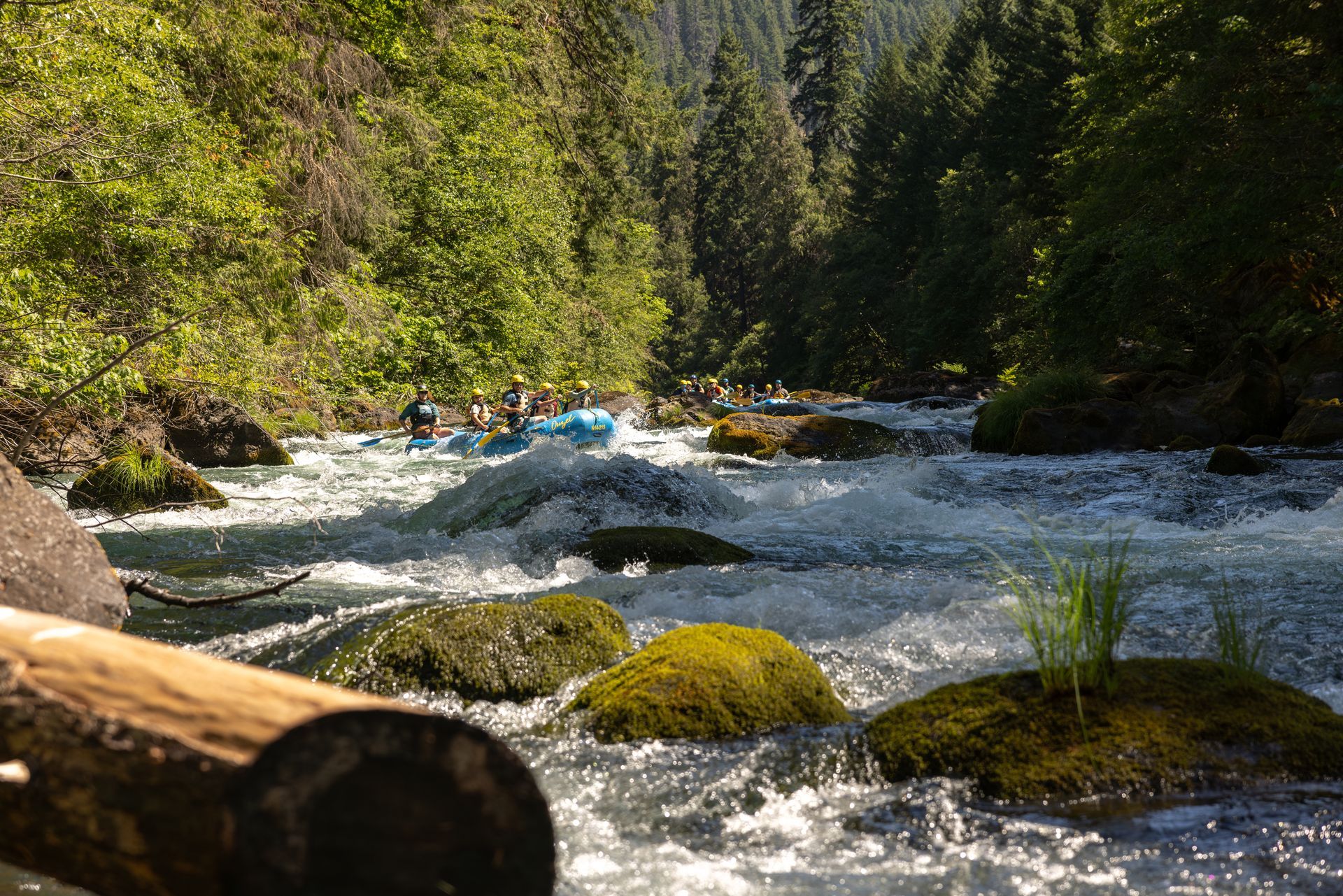 If you are looking for fun outdoor activities near Bend, Oregon, North Umpqua River is an excellent choice for a day trip.