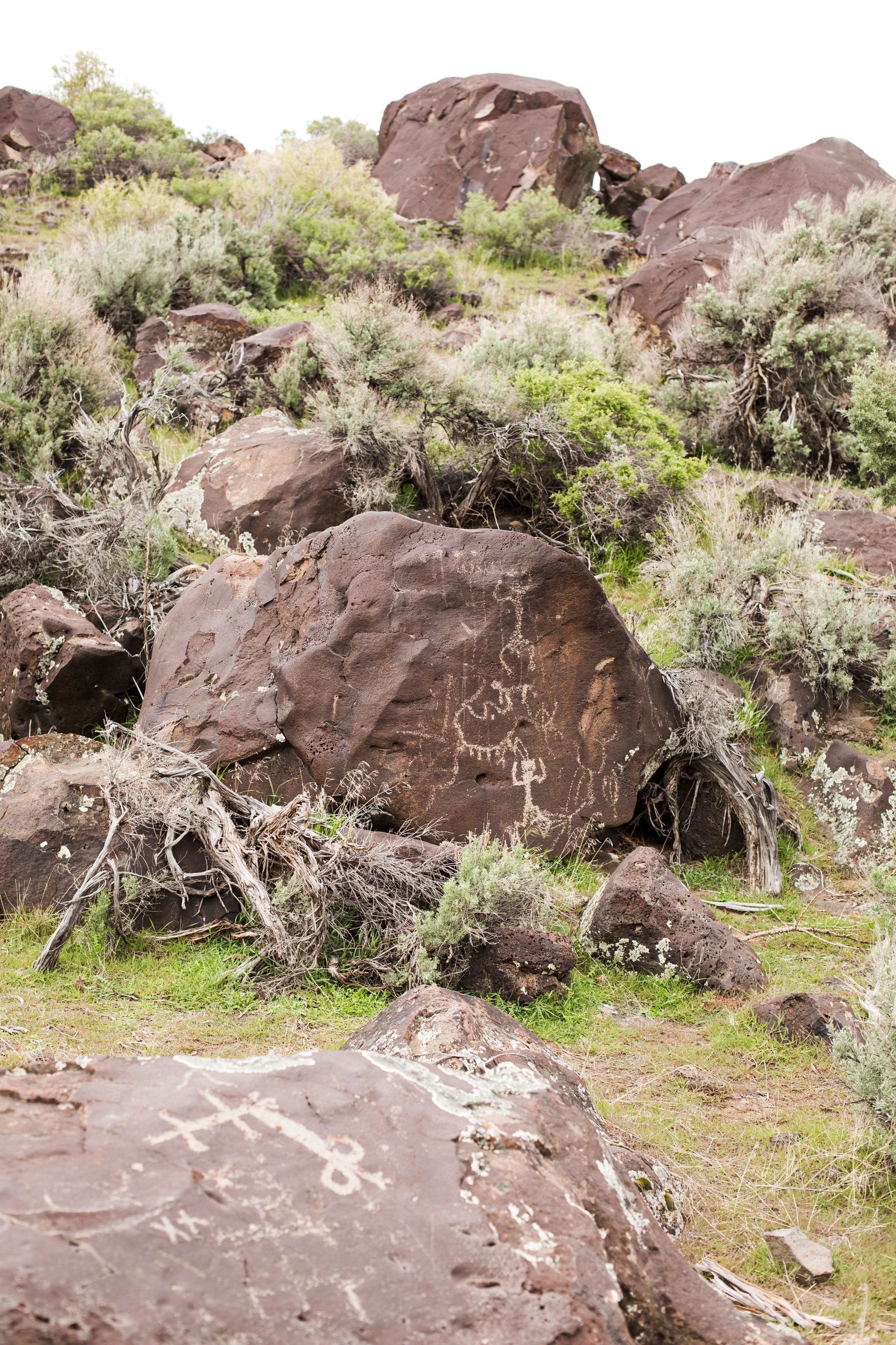 A popular petroglyph site along the river demonstrates the deep historical history of the Owyhee River Canyon.
