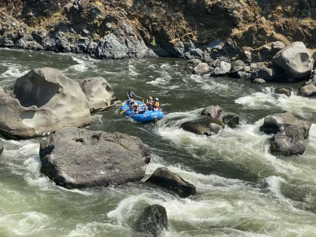 Rogue River Rafting Trips with Ouzel Outfitters