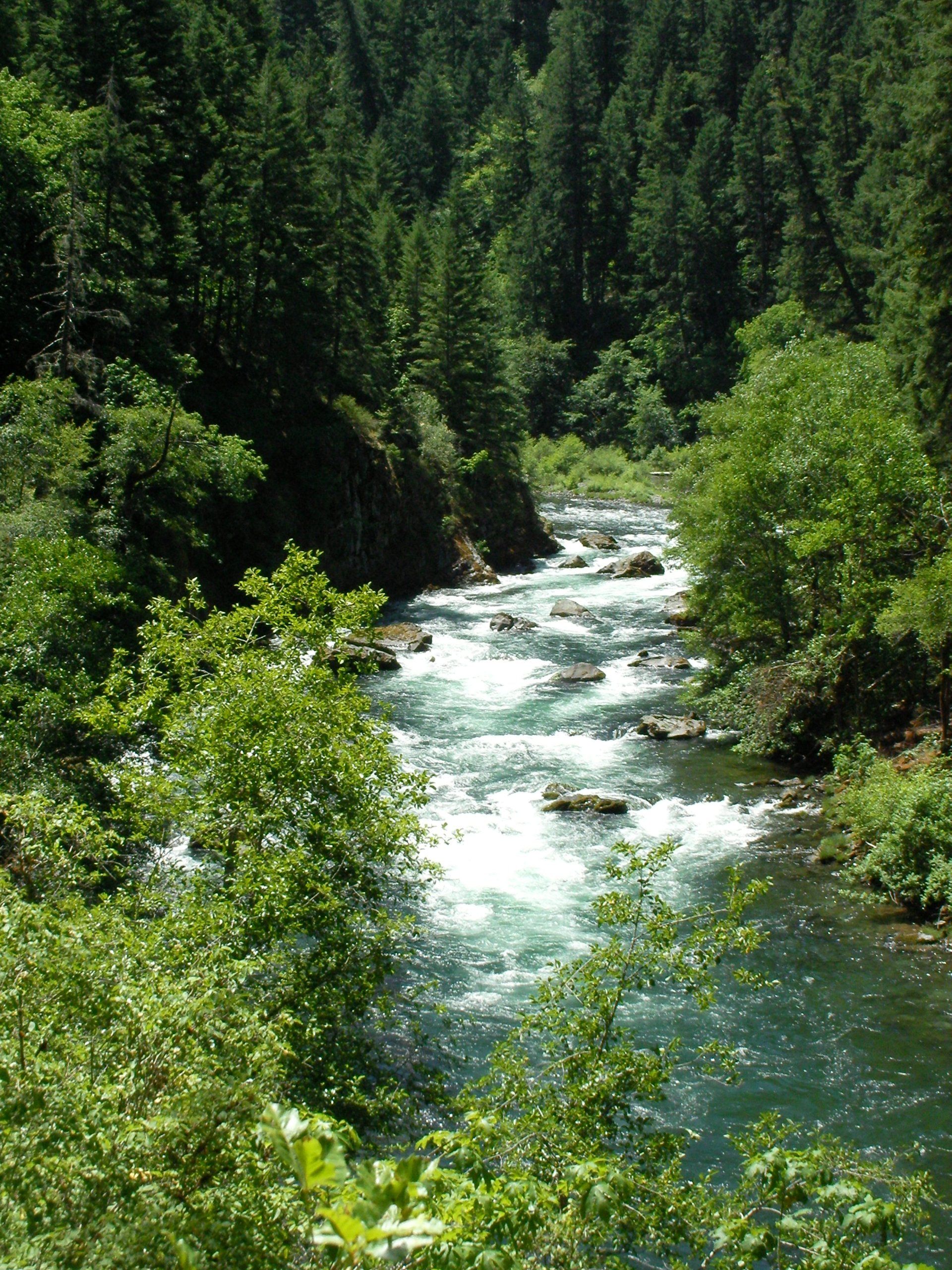 Surrounded by lush and green forests, the North Umpqua River trip is a great Oregon summer adventure. 