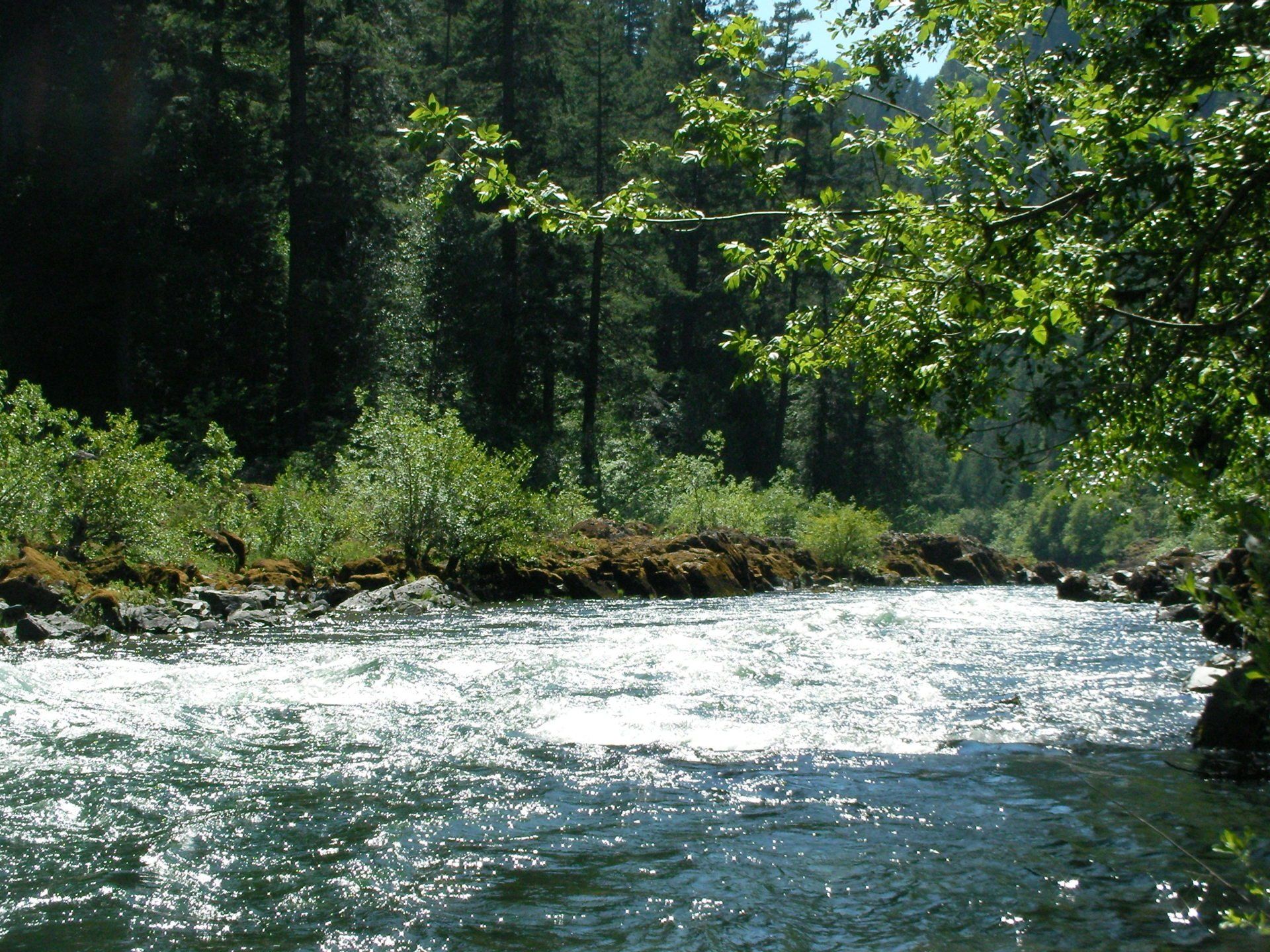 River trips are a great opportunity to slow down and connect with surrounding nature. 