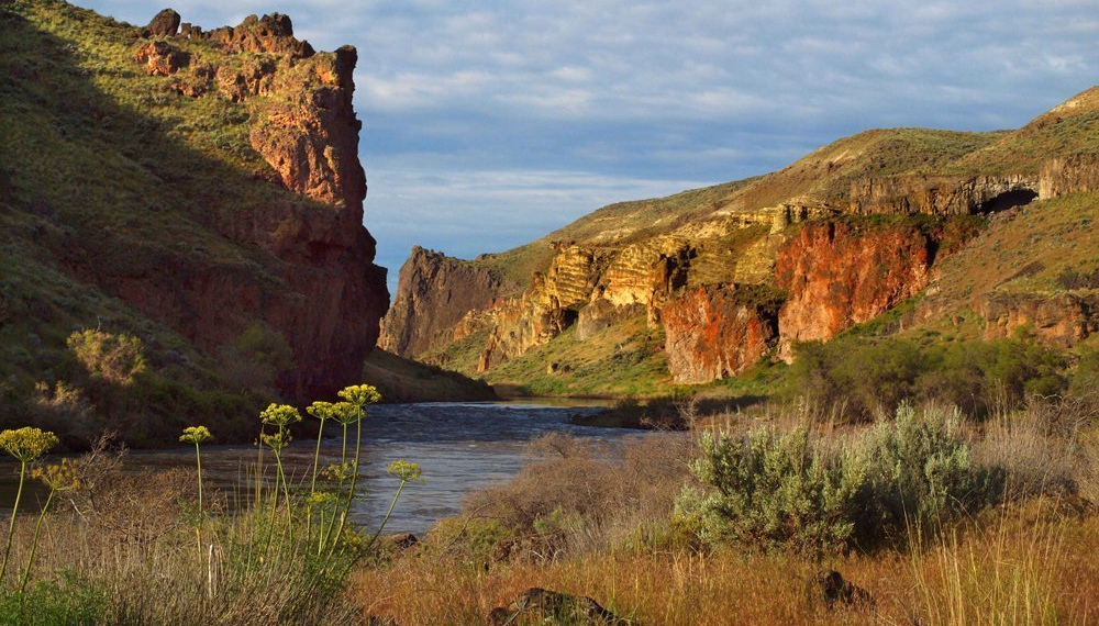 a river runs through the Owyhee canyon surrounded by tall cliffs