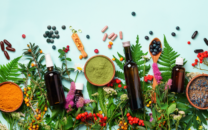 There are many different types of herbs and plants on the table.
