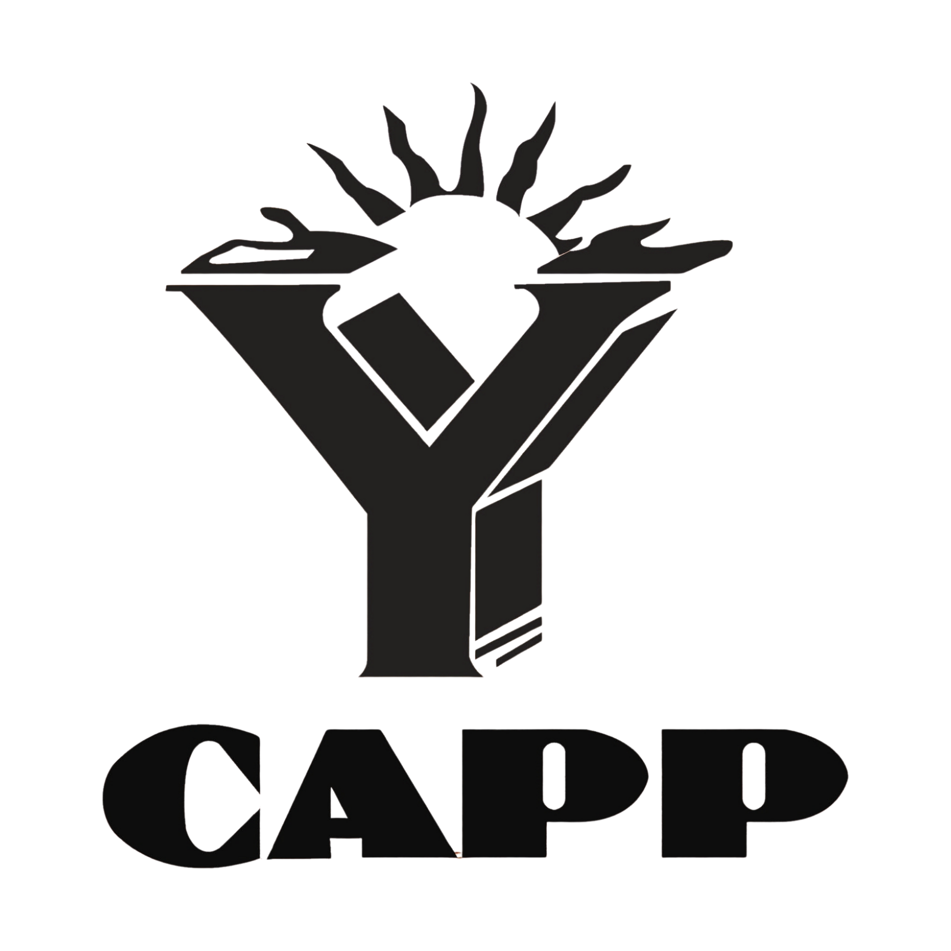 The New Y-CAPP, Inc.logo