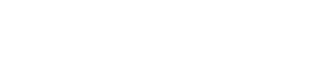 The New Y-CAPP, Inc.logo
