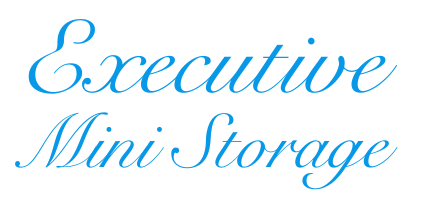 Executive Mini Storage Logo