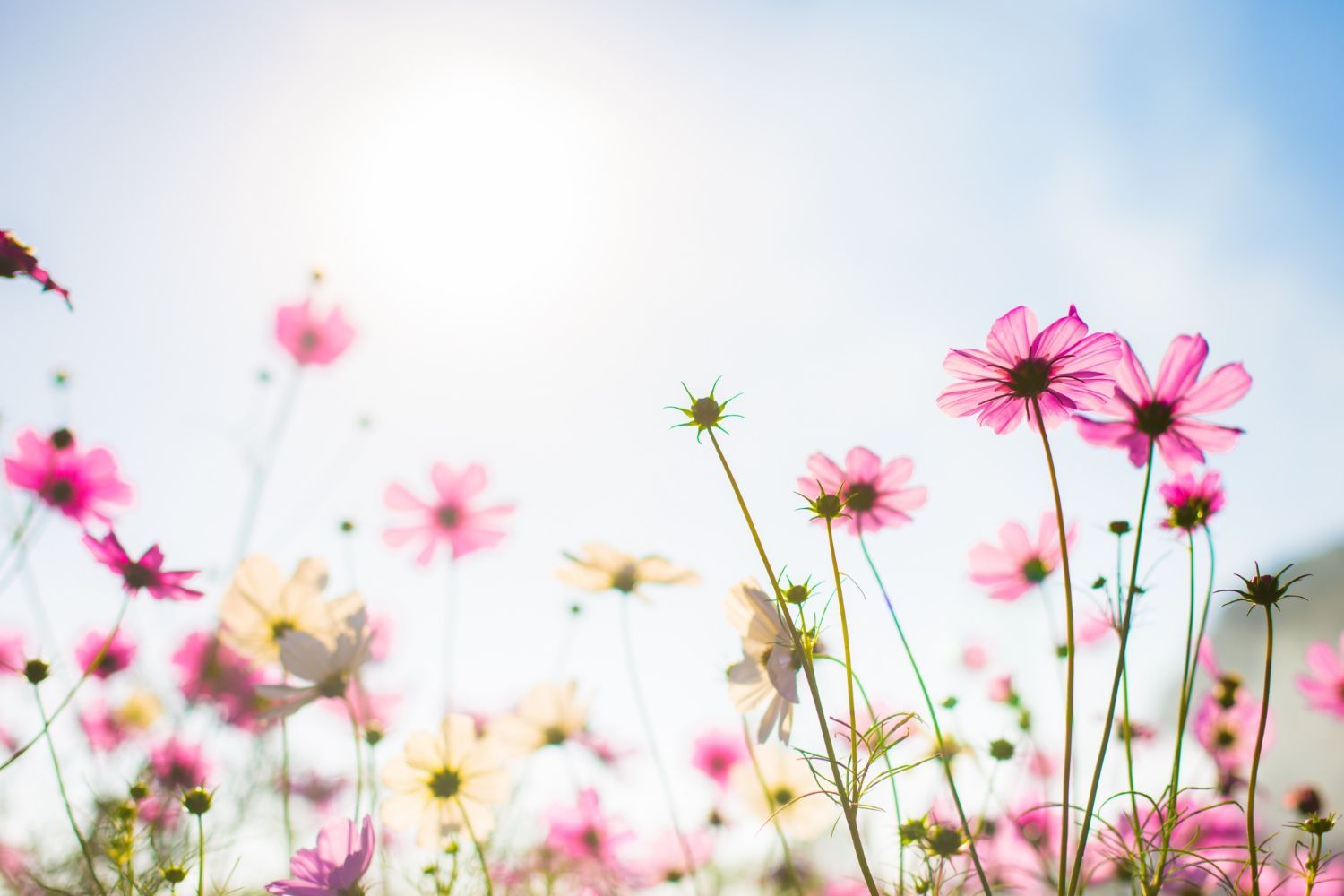 Spring Home Maintenance: What to Tackle After Winter