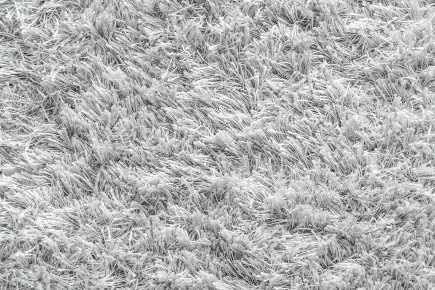 What’s Really Hiding in Your Carpet—and Is It Making You Sick?