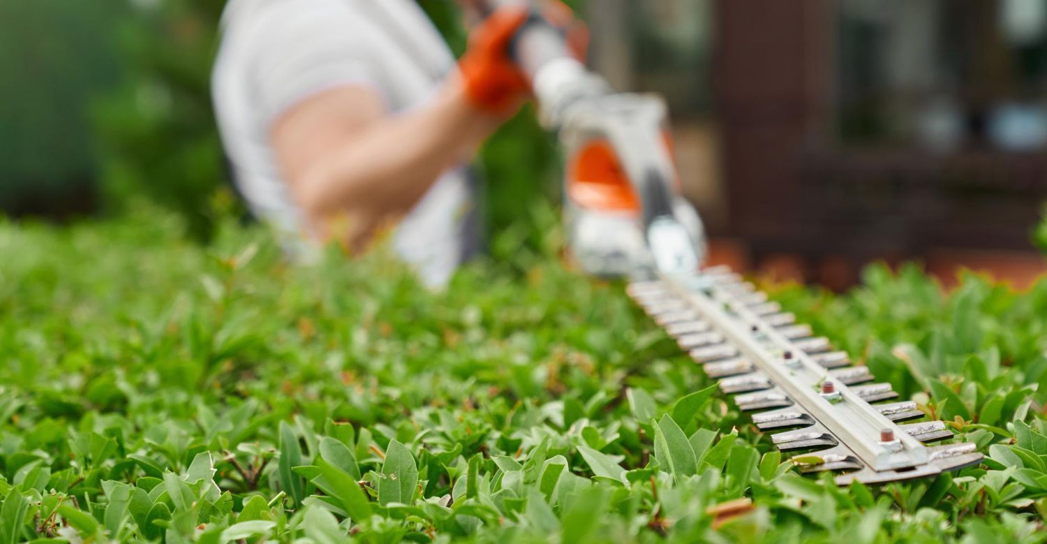 How Professional Landscaping Increases Property Value