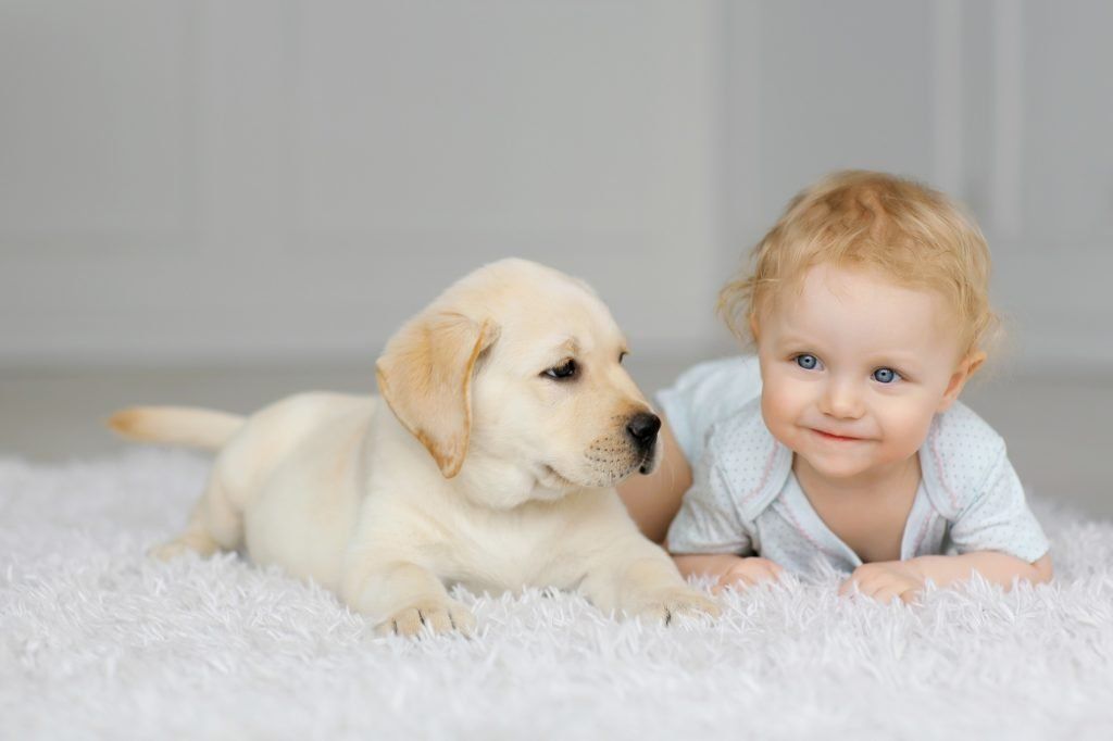 A baby is laying on the floor next to a puppy.