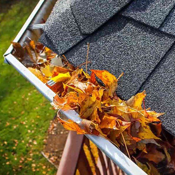 A gutter filled with leaves on a roof.