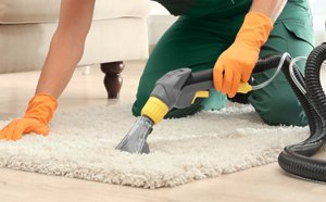 A person is cleaning a rug with a vacuum cleaner.