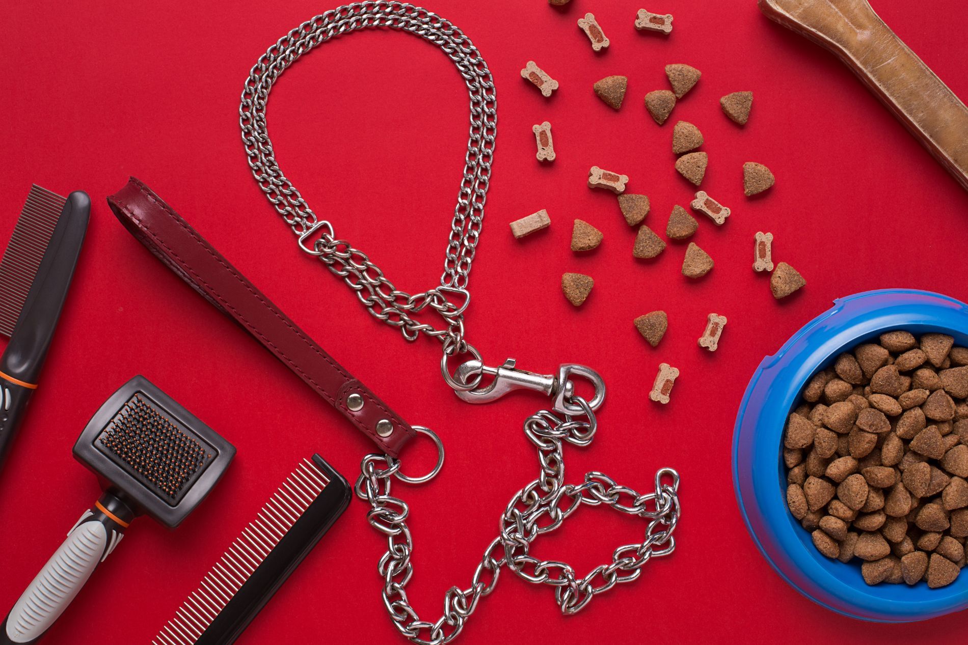 accessori per animali