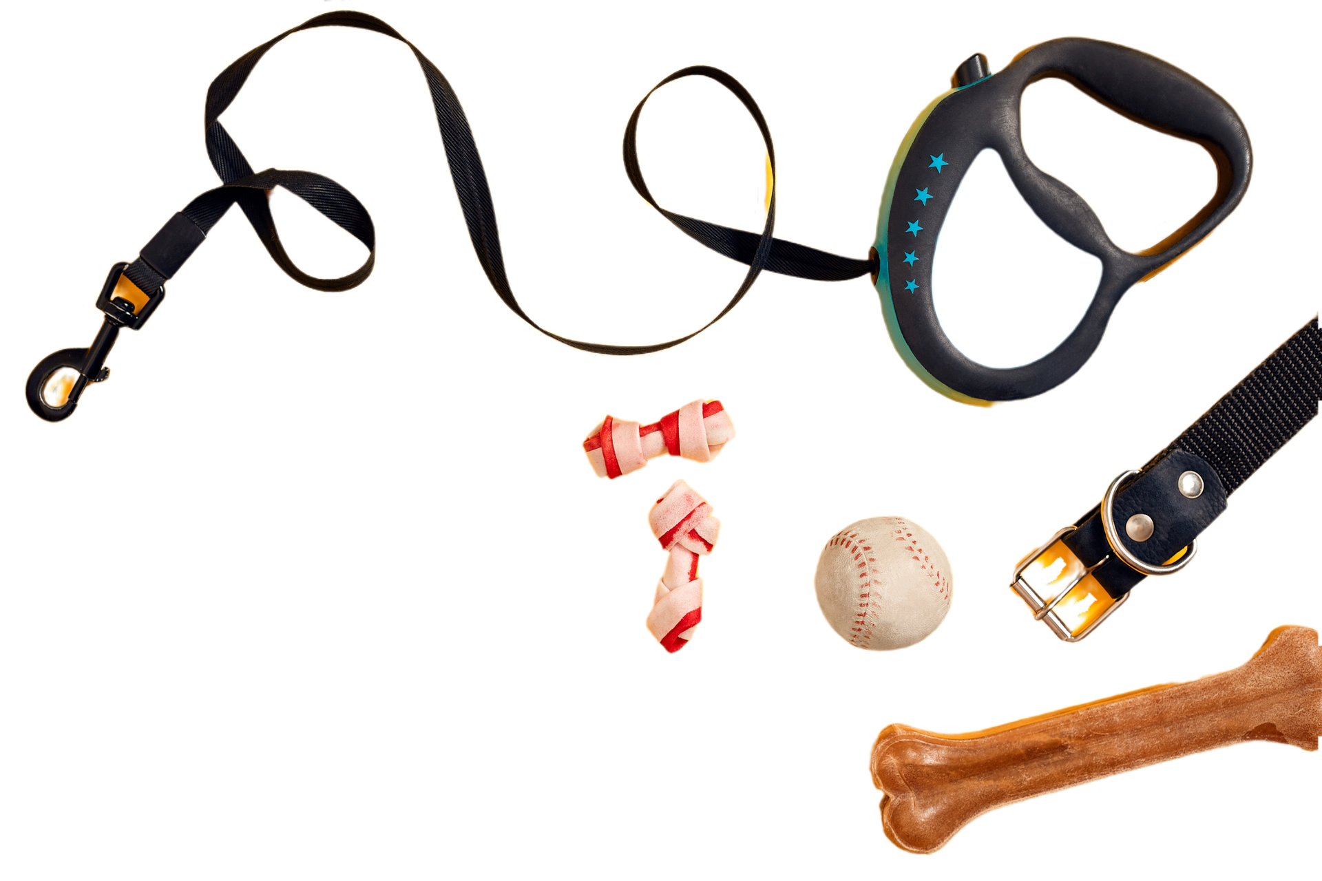 Guinzaglio, collare, giocattoli e osso per cani su sfondo bianco.