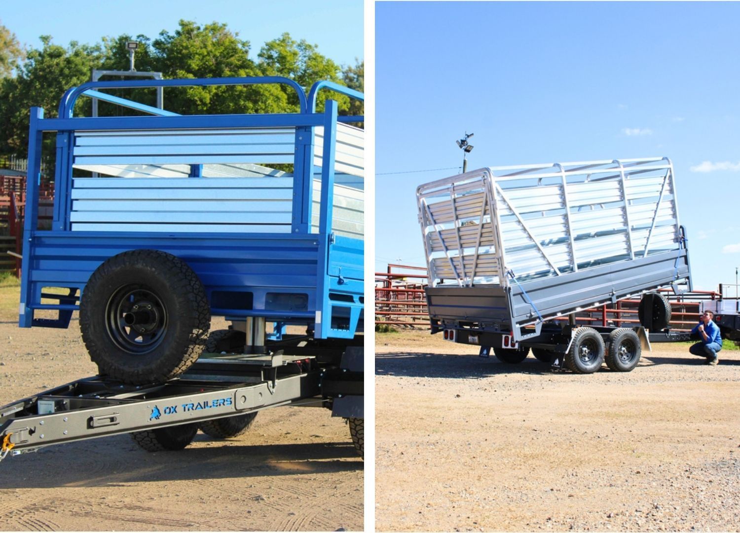 A Tipper Trailer with a sheep crate attachment. The sheep crate can be craned off or lifted on by a forklift.