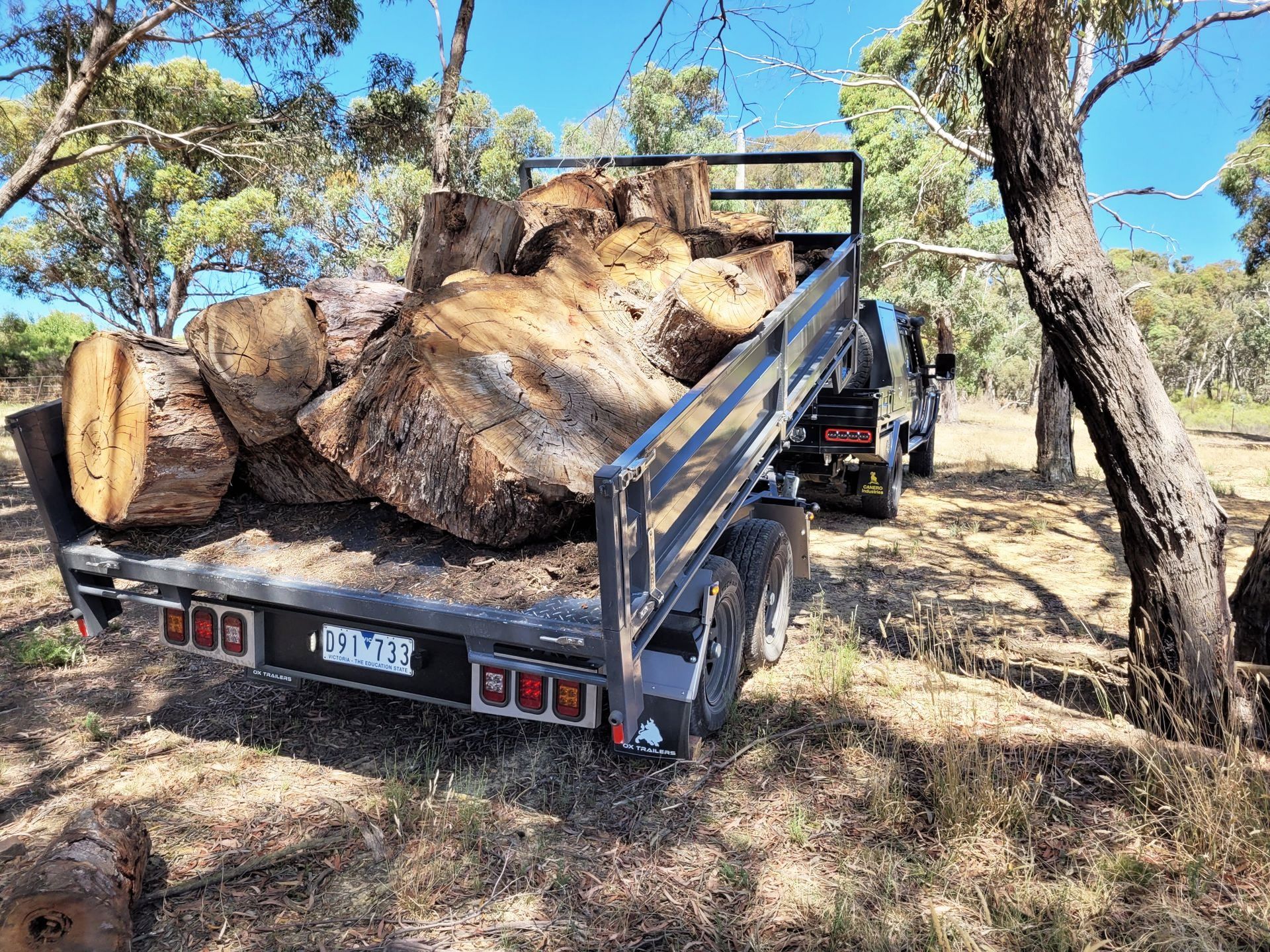 A tipping trailer with a large load of wood at farm, almost at full tip, with load of wood sliding towards the ground.