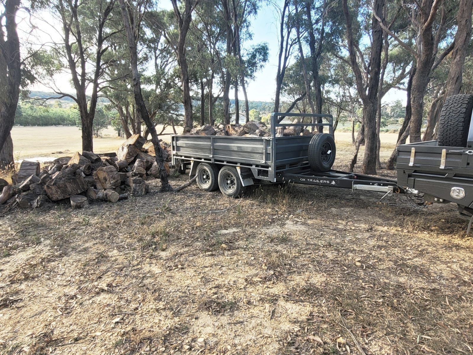 Tipper trailer loaded with wood on a farm, the 450mm high dropsides, keeping tons of wood secure.