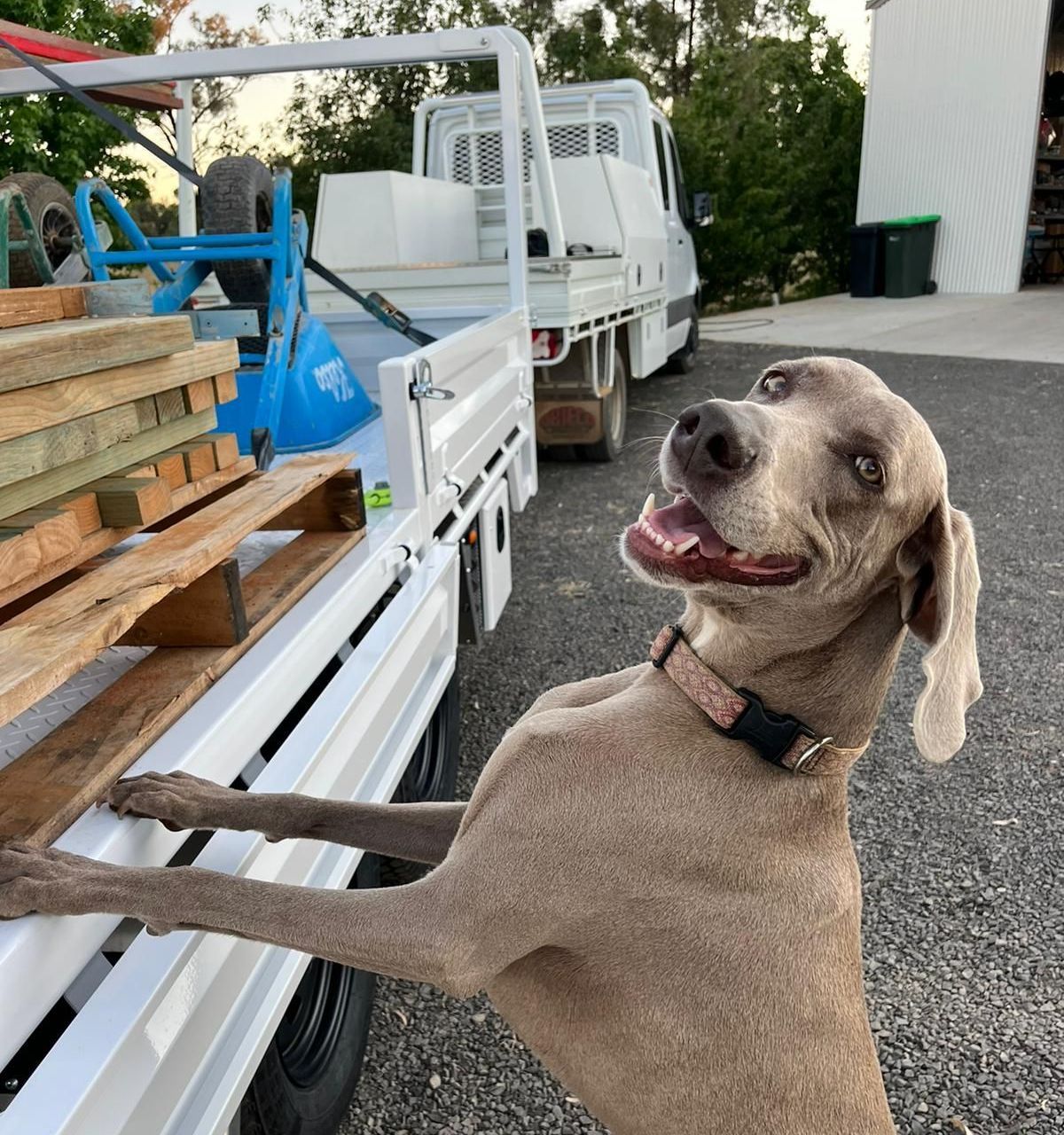The side view of Mat Andersons rear tipper trailer.