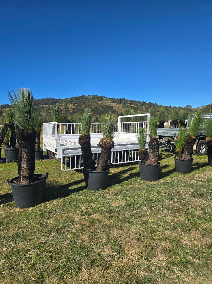 A side view of the Station Creek Tree Farm Flat top trailer, highlighting the 450 SHS Extension dropsides.