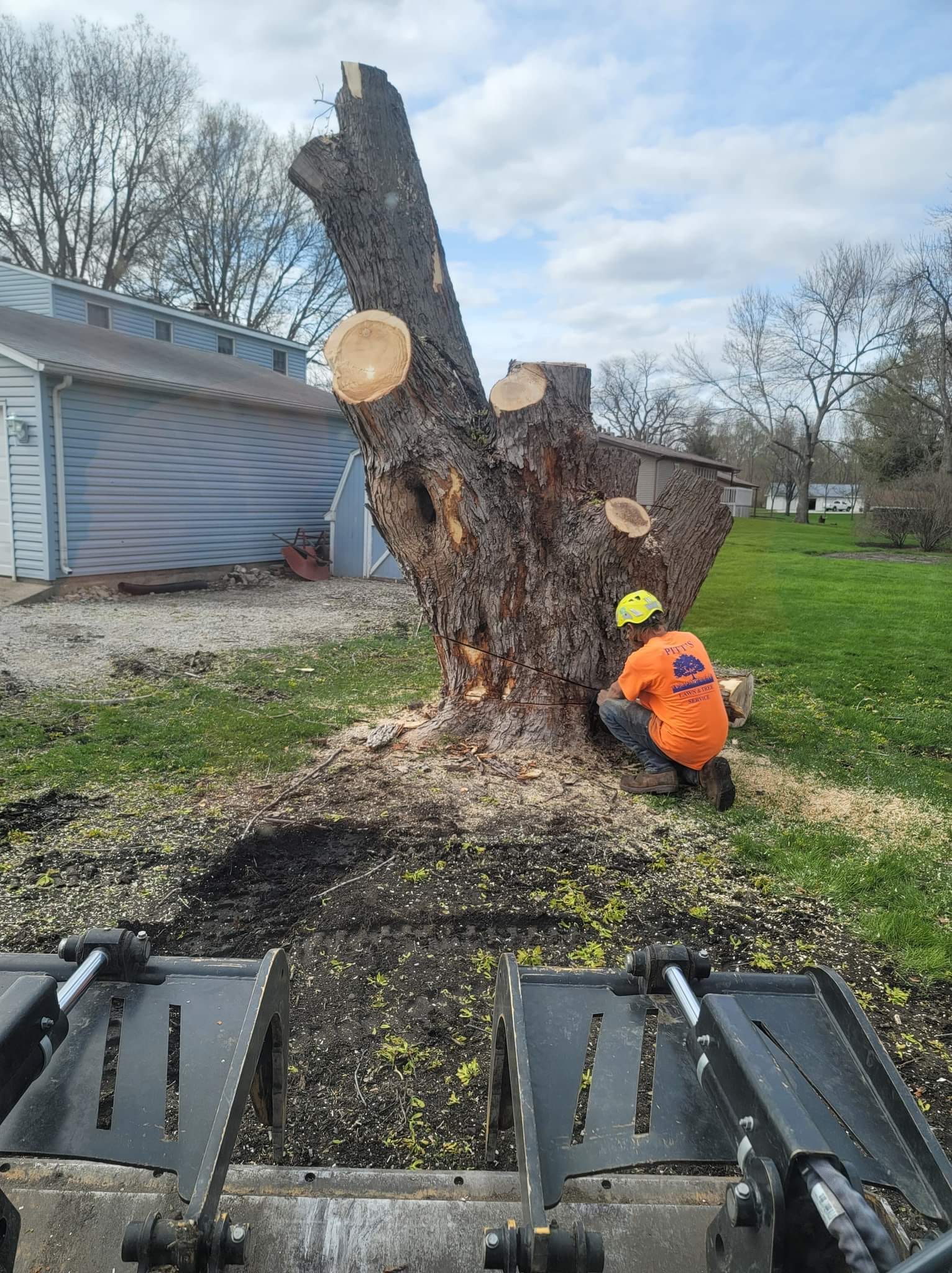 Tree Care & Maintenance Huxley, IA Pitts Lawn & Tree