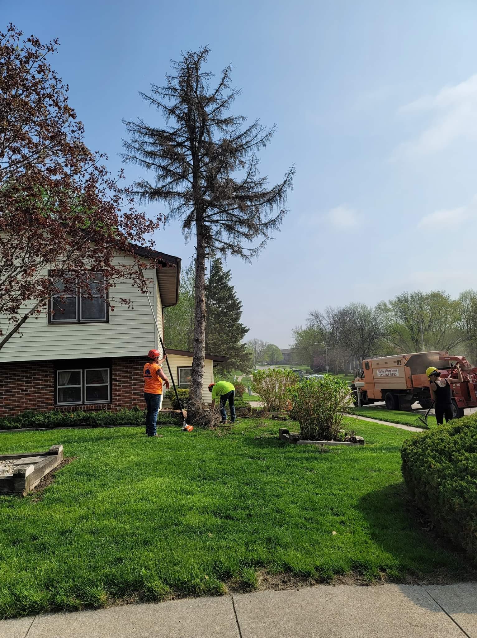 Tree Company Serving Ames, IA Pitts Lawn & Tree Service