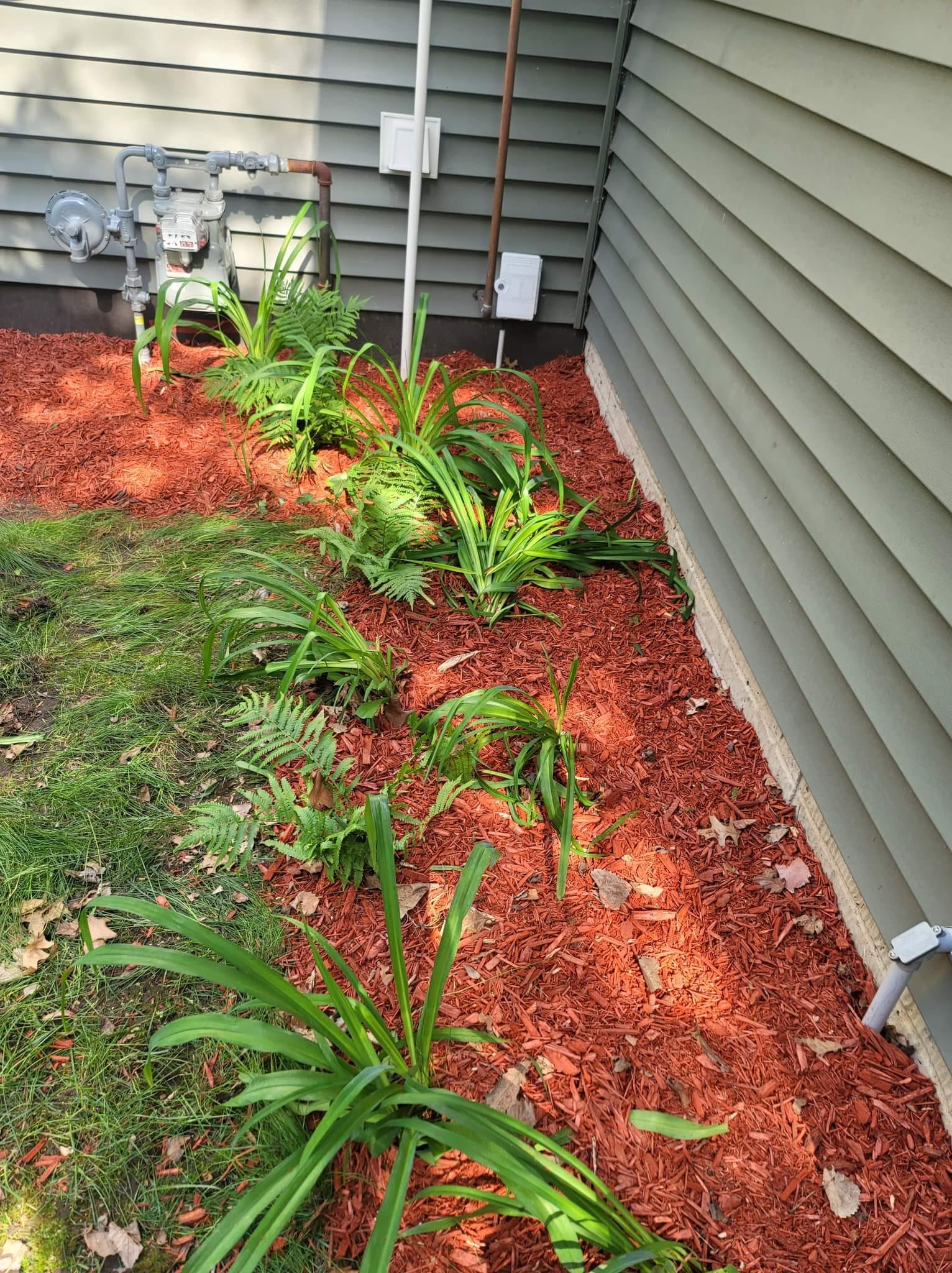 Garden Weeds on Backyard – Huxley, IA – Pitts Lawn & Tree