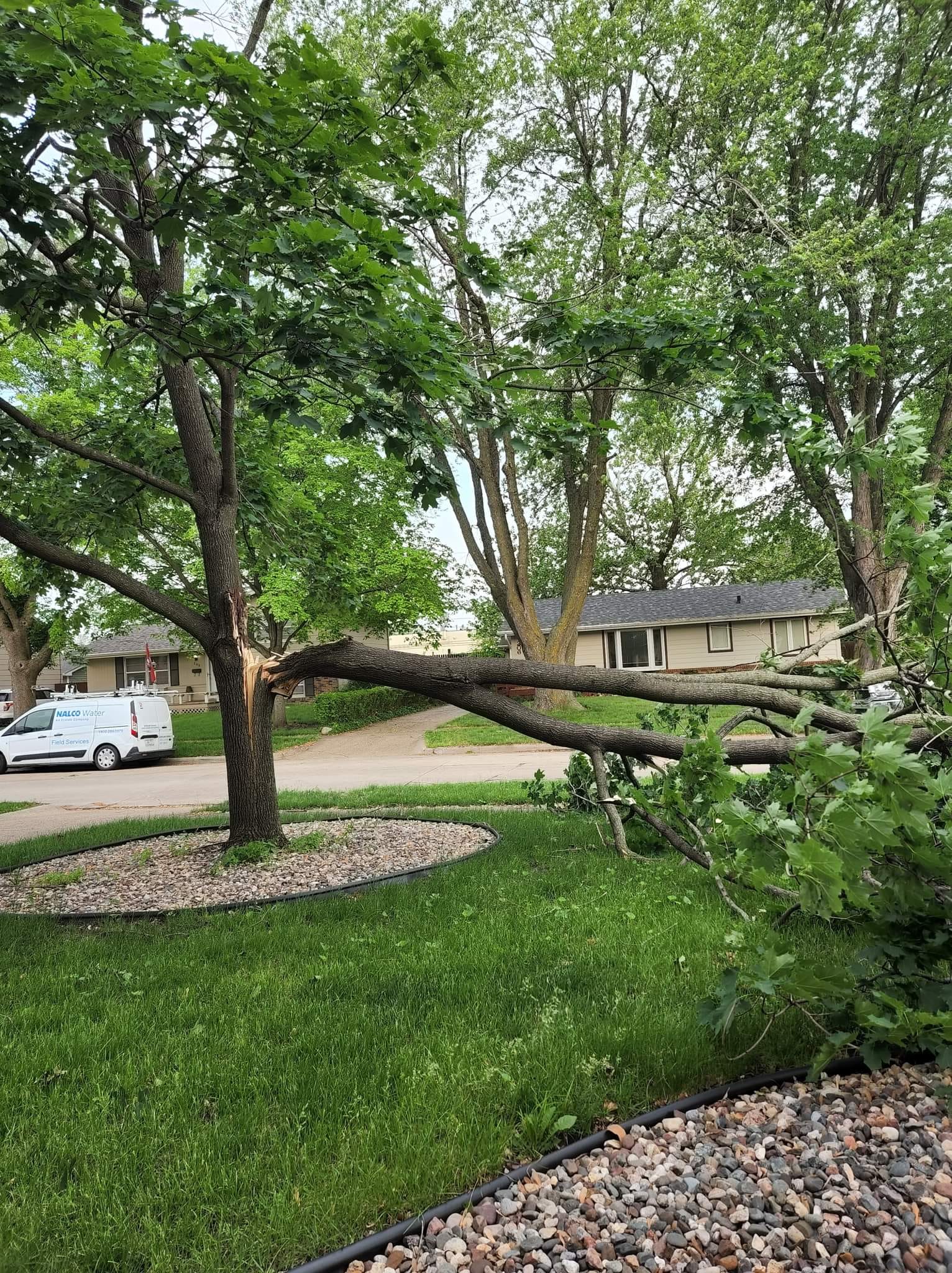 Fallen Tree Branch – Huxley, IA – Pitts Lawn & Tree