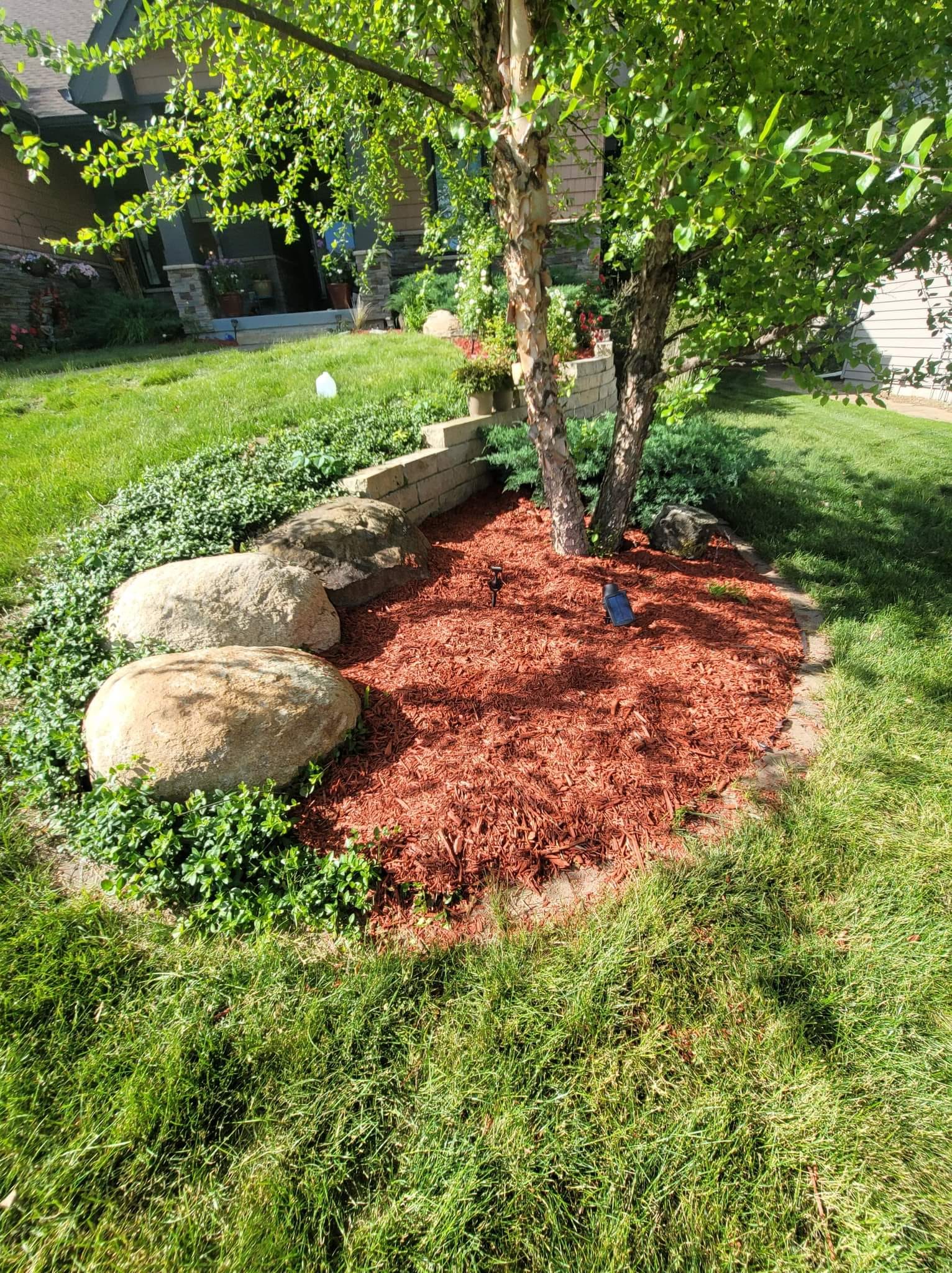Mulch Around Young Tree – Huxley, IA – Pitts Lawn & Tree