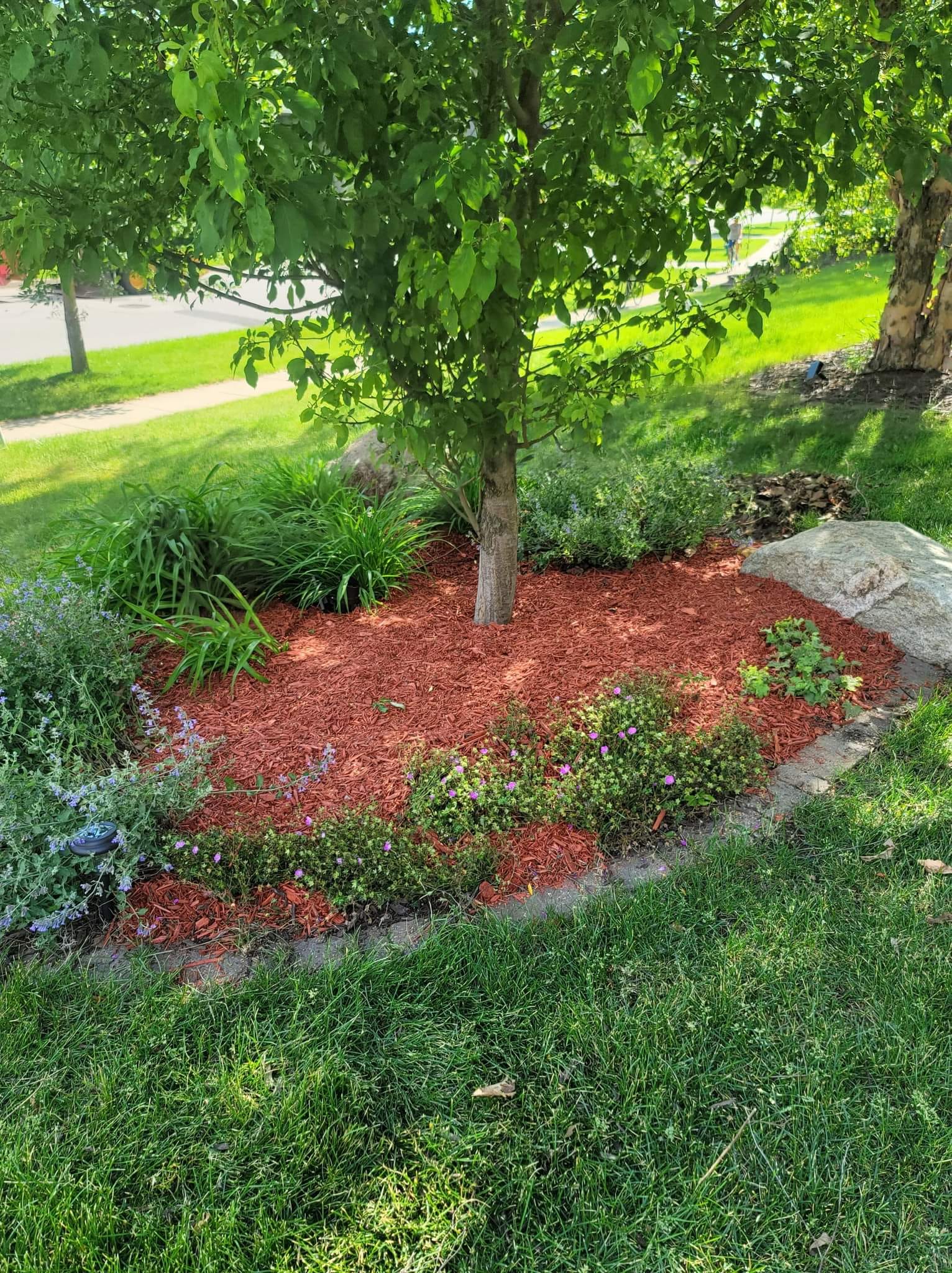 Mulch on Landscape – Huxley, IA – Pitts Lawn & Tree