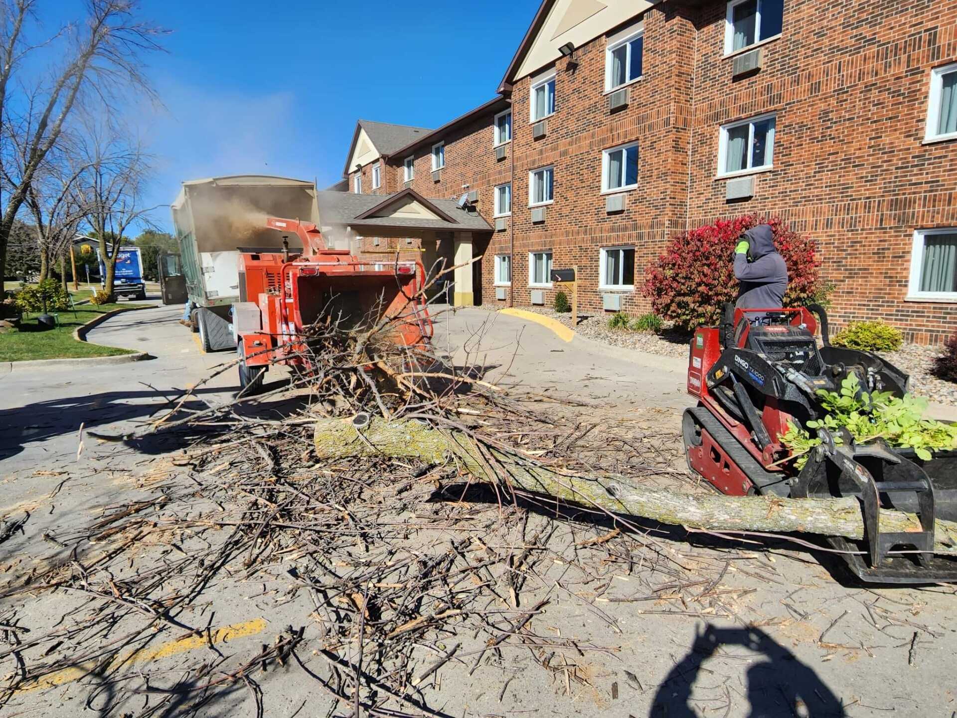 Tree Trunk and Branches on Truck – Huxley, IA – Pitts Lawn & Tree
