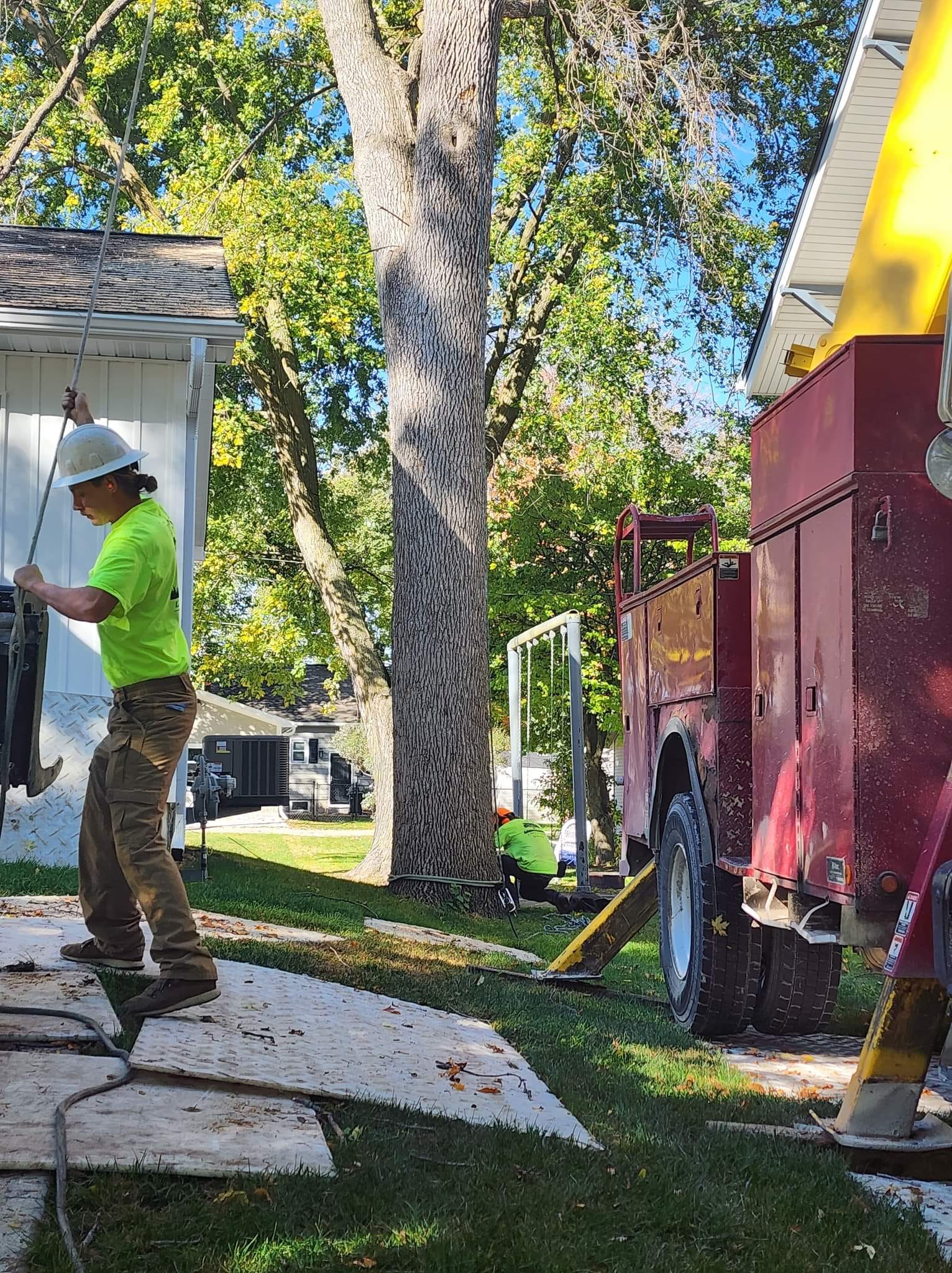 Tree Care Experts at Work – Huxley, IA – Pitts Lawn & Tree